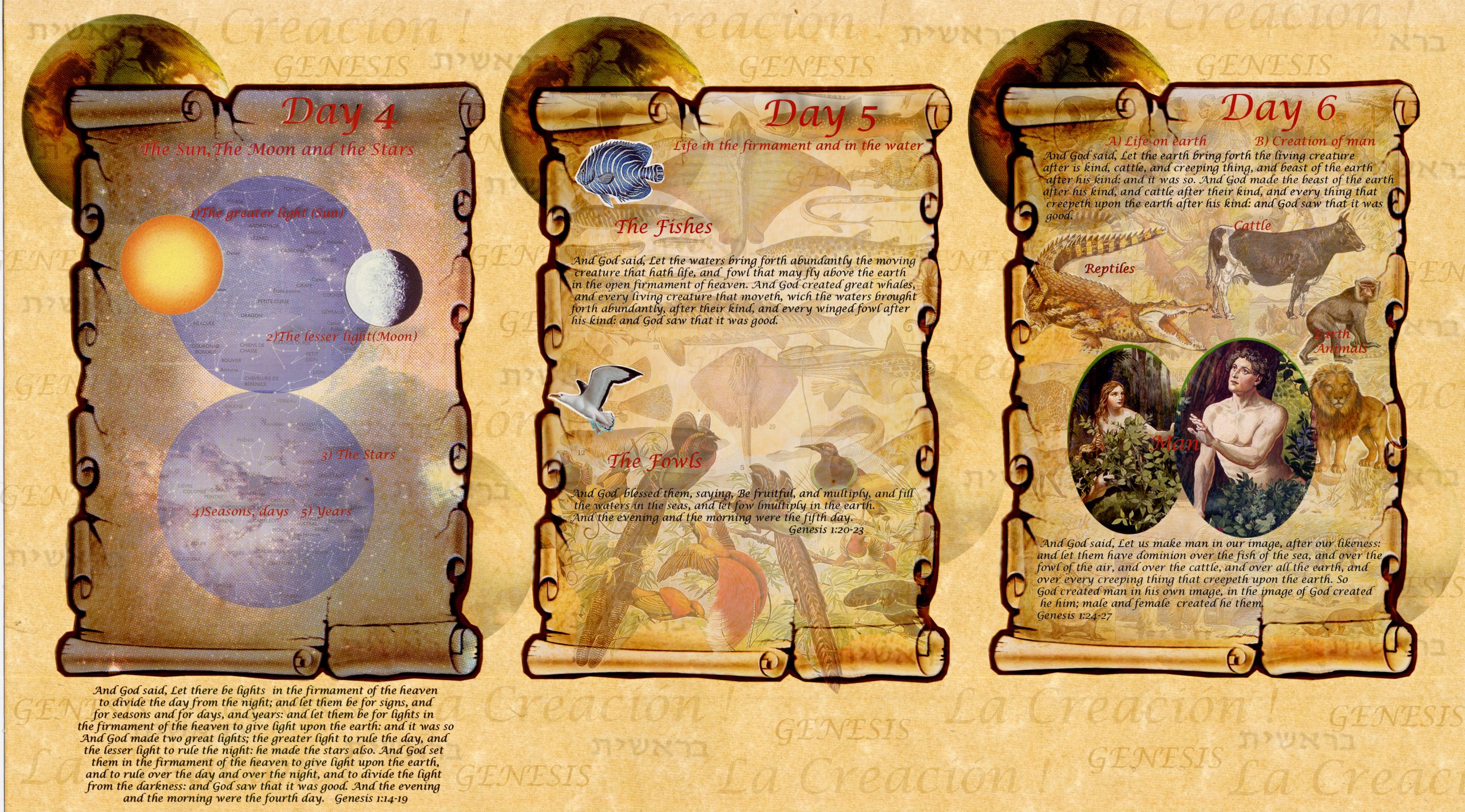 Jours 3 à 6 de la Création